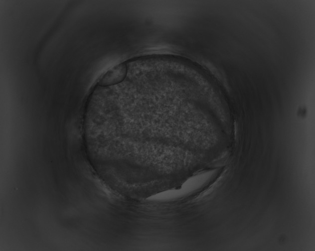 X0000091901405200710031153