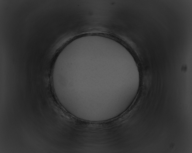 X0000091901407200710031153