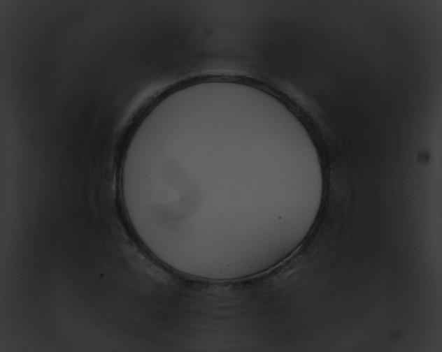 X0000091901408200710031153