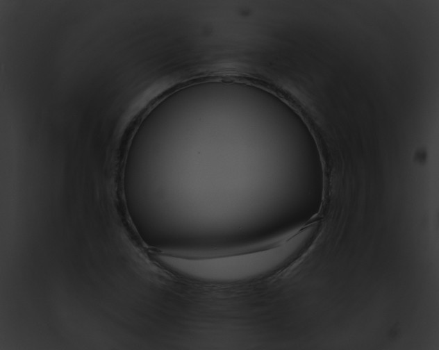 X0000091901410200710031153