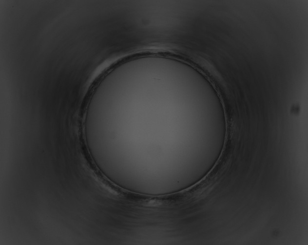 X0000091901412200710031153