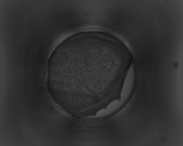 X0000091901413200710031153