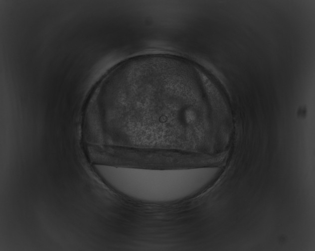 X0000091901415200710031153