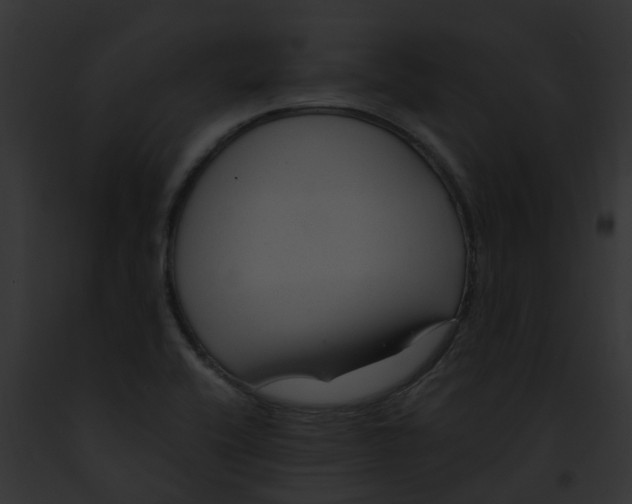 X0000091901416200710031153