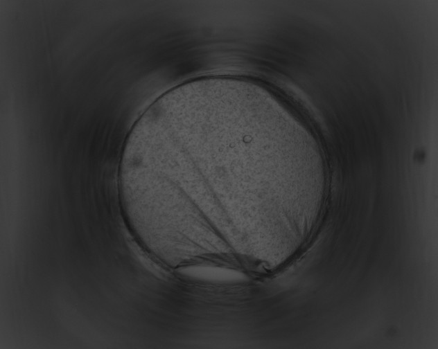 X0000091901417200710031153