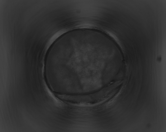 X0000091901418200710031153