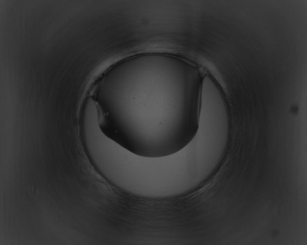 X0000091901419200710031153