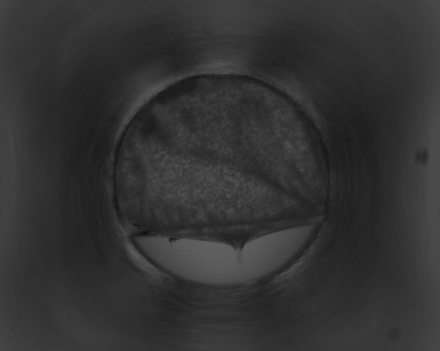 X0000091901421200710031153