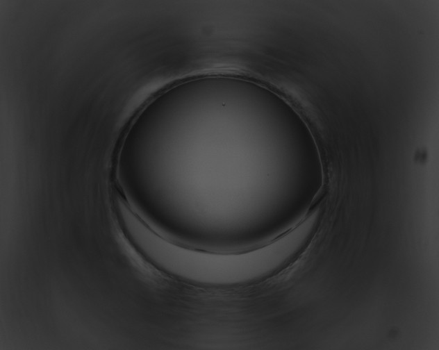 X0000091901422200710031153