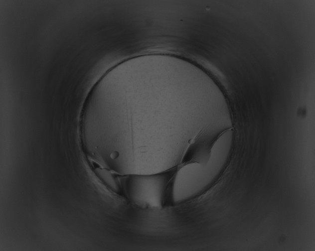 X0000091901423200710031153