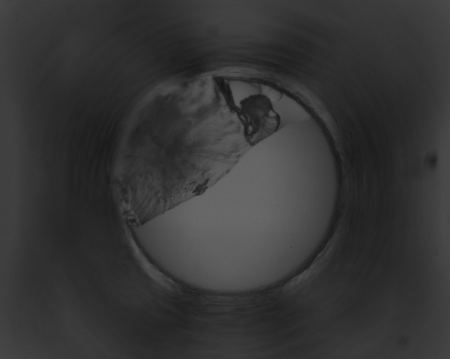 X0000091901425200710031153