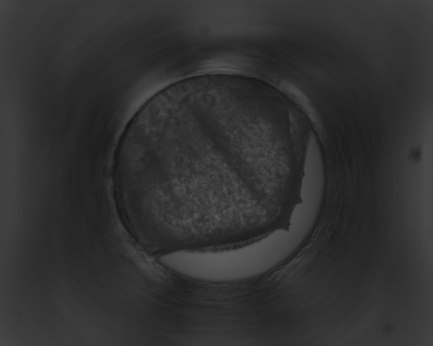 X0000091901427200710031153