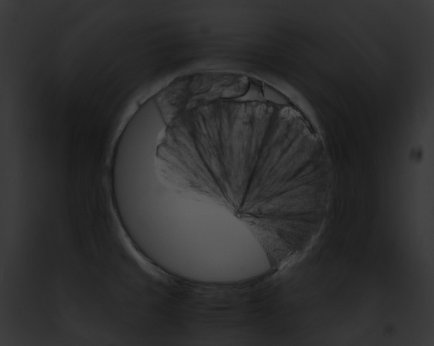 X0000091901429200710031153