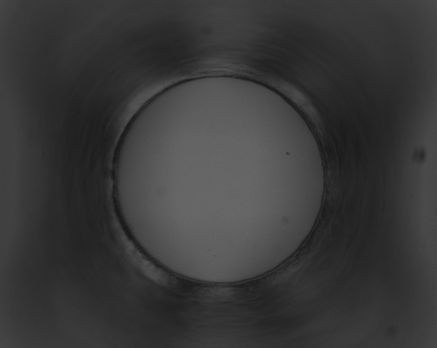 X0000091901431200710031153