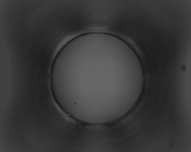 X0000091901432200710031153