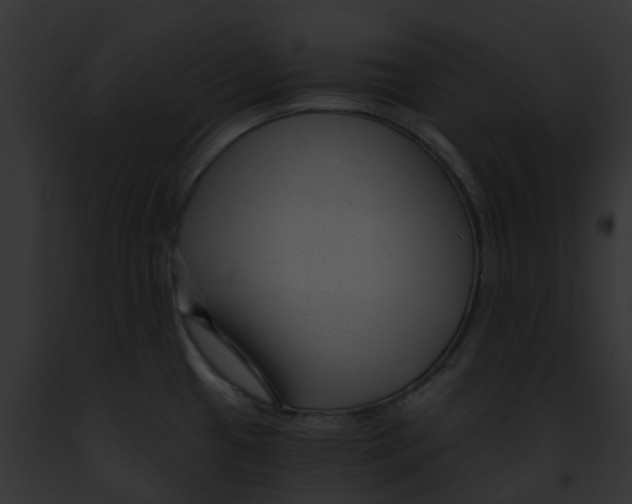 X0000091901433200710031153