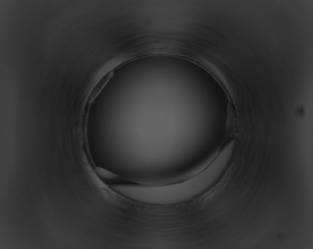 X0000091901434200710031153