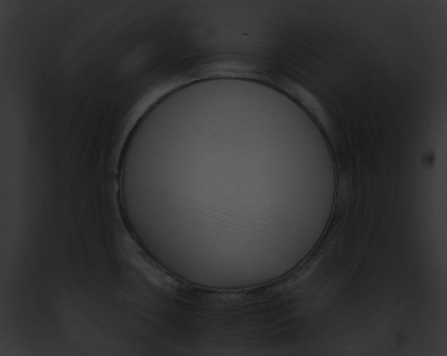 X0000091901435200710031153