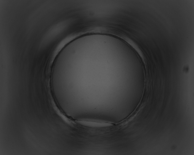 X0000091901437200710031153