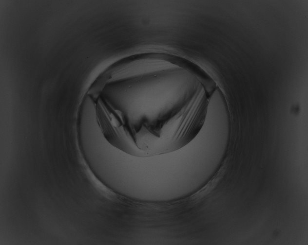 X0000091901438200710031153