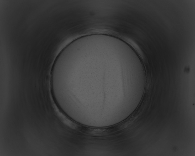 X0000091901439200710031153