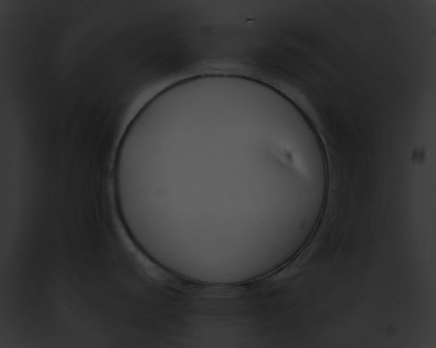 X0000091901440200710031153