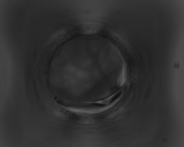 X0000091901441200710031152