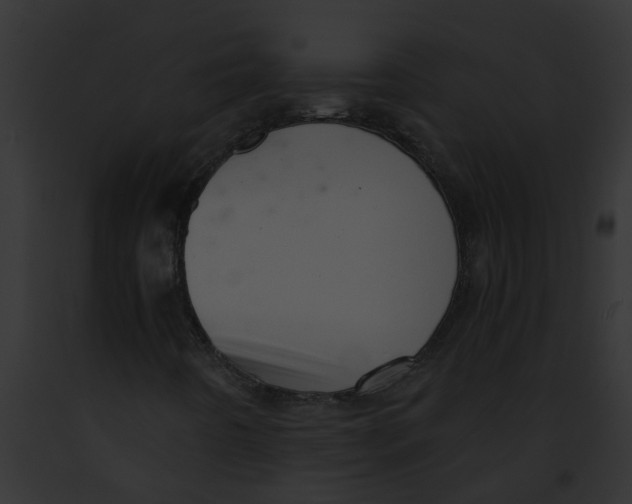 X0000091901442200710031152