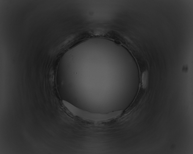 X0000091901443200710031152