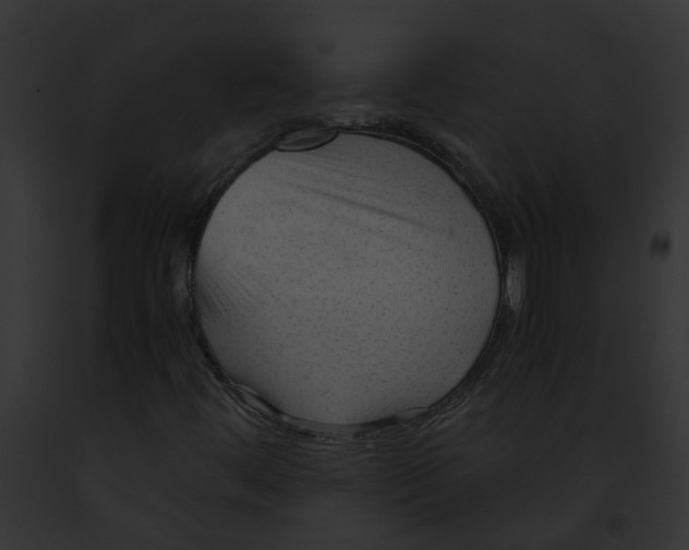 X0000091901444200710031152