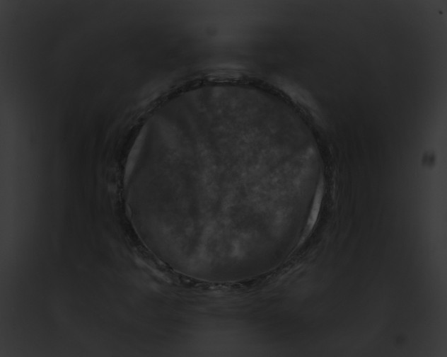 X0000091901445200710031152