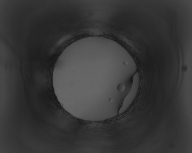 X0000091901446200710031152