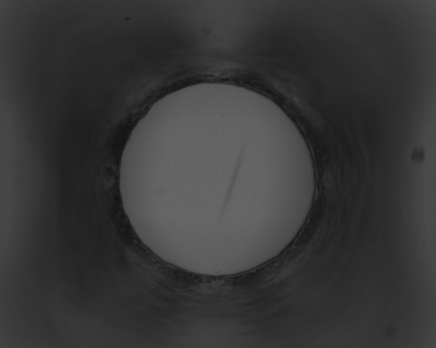 X0000091901447200710031152