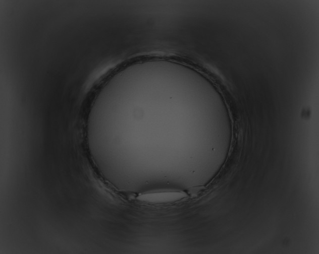 X0000091901448200710031152