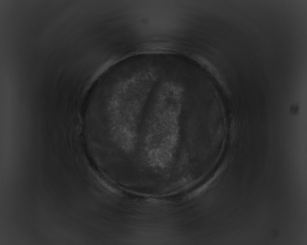 X0000091901449200710031152