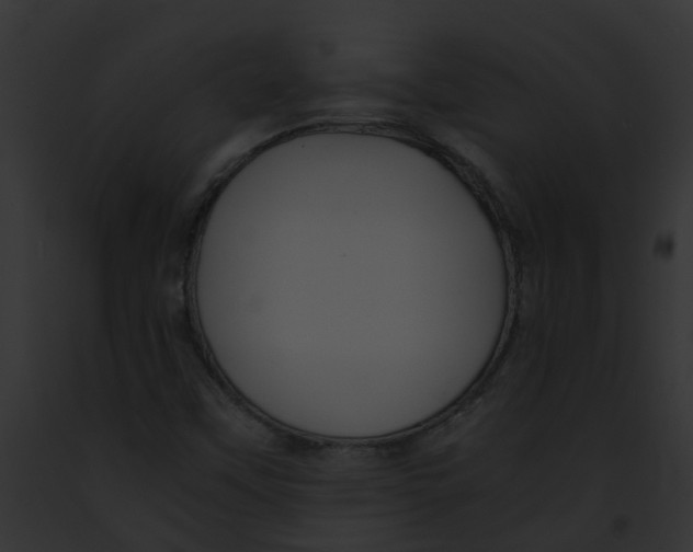 X0000091901451200710031152