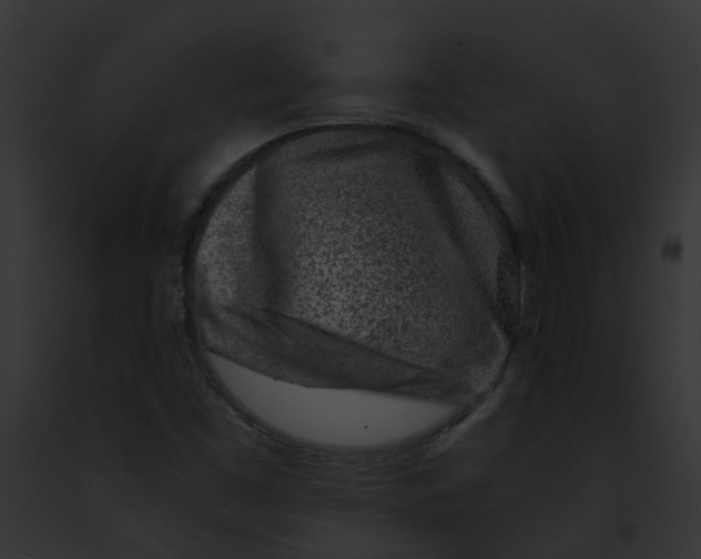 X0000091901453200710031152