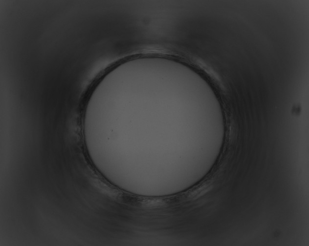 X0000091901454200710031152