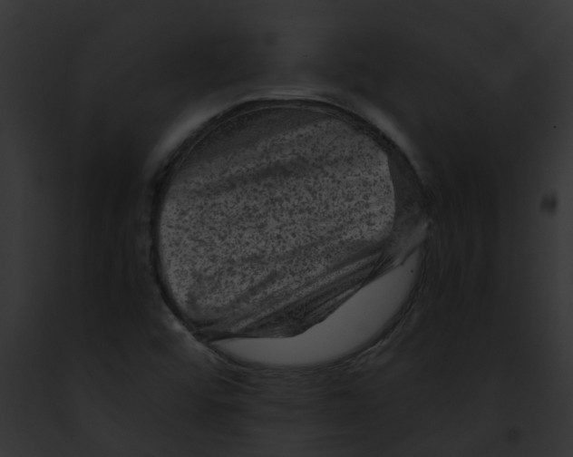 X0000091901456200710031152