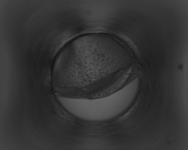 X0000091901457200710031152