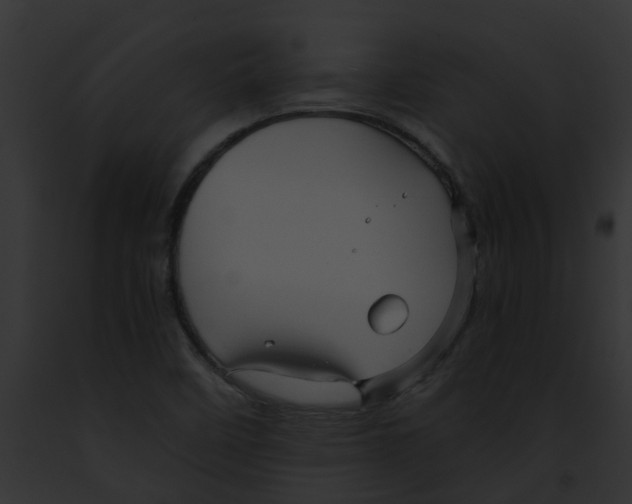 X0000091901458200710031152