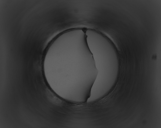 X0000091901460200710031152