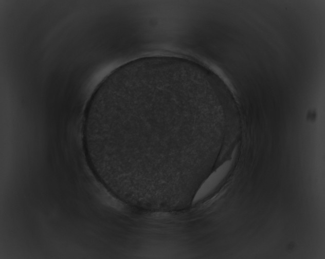 X0000091901463200710031152