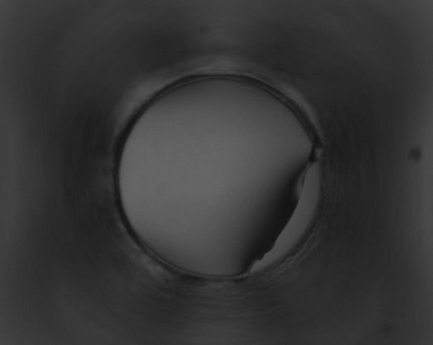 X0000091901464200710031152