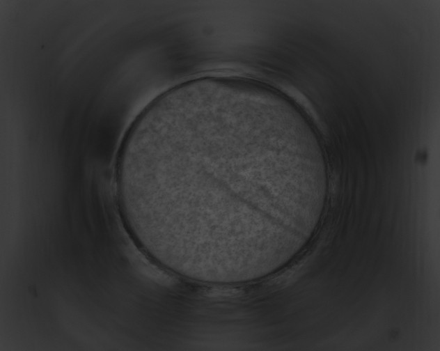 X0000091901466200710031152