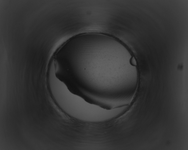 X0000091901469200710031152