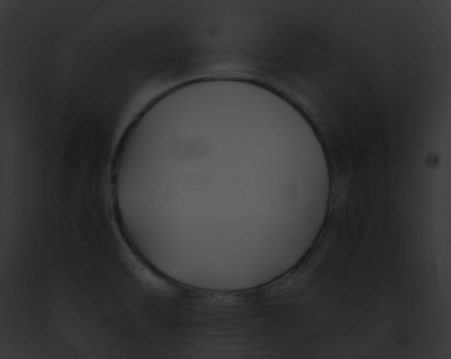 X0000091901470200710031152