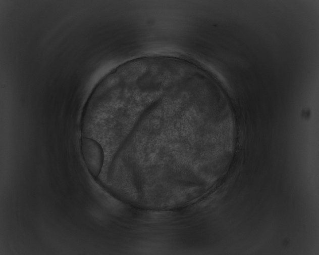 X0000091901471200710031152