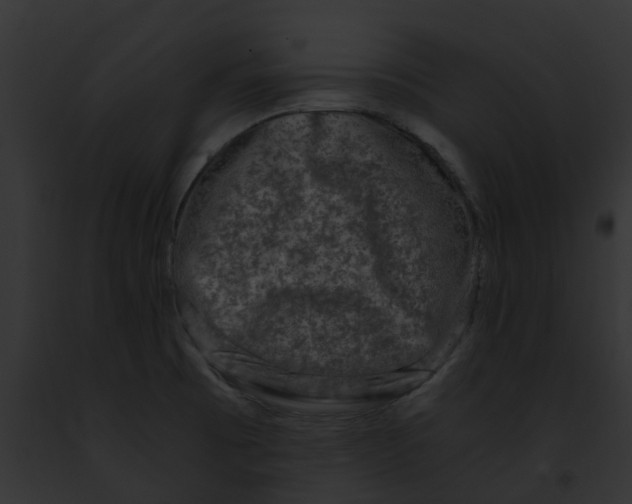 X0000091901473200710031152