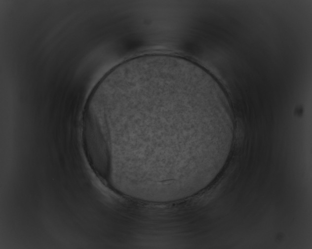 X0000091901474200710031152